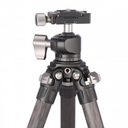 Leofoto Ranger LS-224C + cabezal LH-25