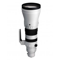 Sigma 300-600mm F4 DG OS Sports Sony E | Superteleobjetivo Pro