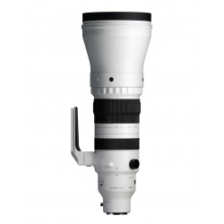 Sigma 300-600mm F4 DG OS Sports Sony E | Superteleobjetivo Pro