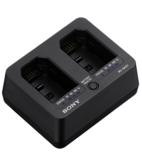 SONY BC-SAD1 cargador de bateria para Sony NP-SA100