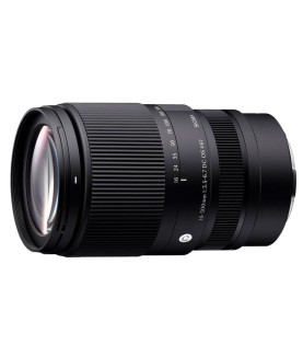 Sigma 16-300mm F3.5-6.7 DC OS Nikon Z | 18,8x