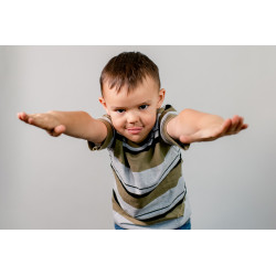 SUPERIOR FONDO 72 Fossil Gray 2.75X11